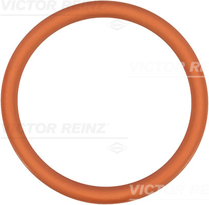 VICTOR REINZ Pakning, indsugningsmanifold 713524700 for LANCIA PEUGEOT (DF-PSA)