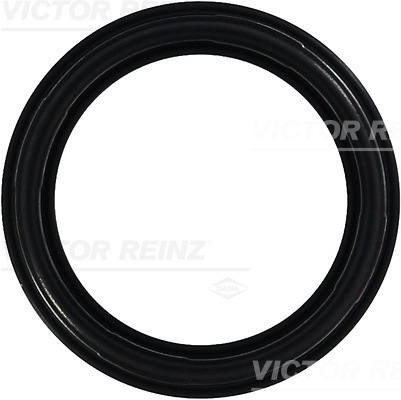 VICTOR REINZ Pakning, Ventildæksel 713565900 for LANCIA