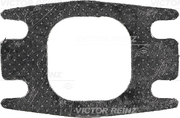 VICTOR REINZ 713695800 for IVECO