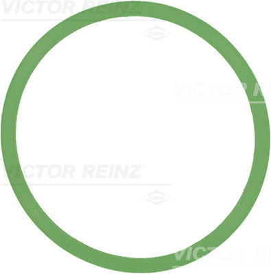 VICTOR REINZ Pakning, indsugningsmanifold 713759900 for VAG