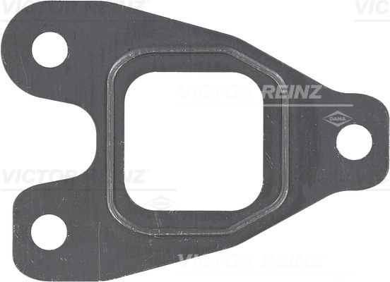 VICTOR REINZ 713804800 for MAN
