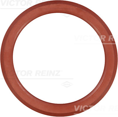 VICTOR REINZ Pakning, Ventildæksel 713855200 for PEUGEOT MITSUBISHI