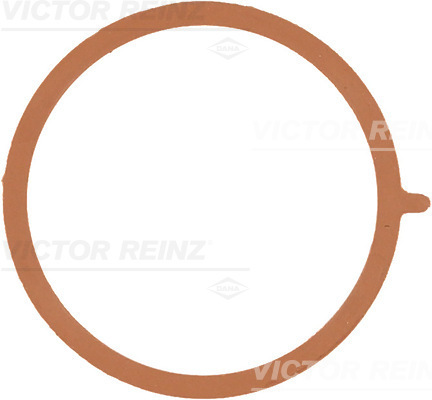 VICTOR REINZ Pakning, indsugningsmanifold 713895300 for VAG