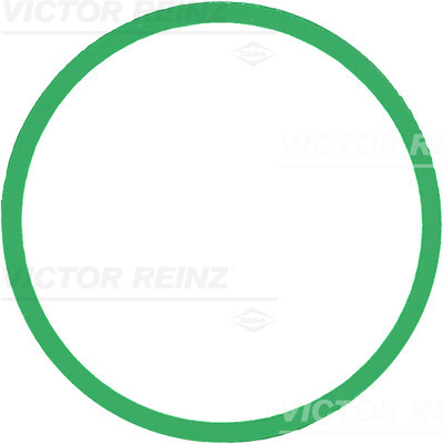 VICTOR REINZ Pakning, indsugningsmanifold 713930300 for VOLVO LAND ROVER