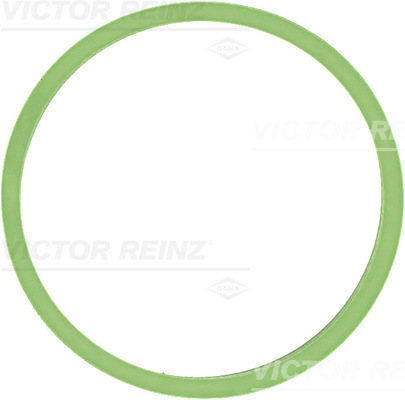 VICTOR REINZ Pakning, indsugningsmanifold 714053100 for VAG