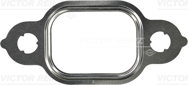VICTOR REINZ 714144300 for DAF