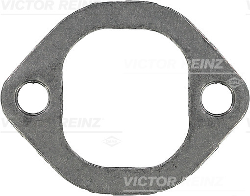 VICTOR REINZ 714519300 for IVECO