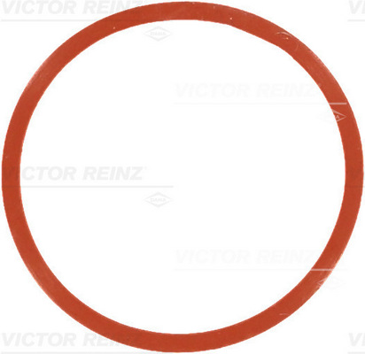 VICTOR REINZ Pakning, indsugningsmanifold 717754600 for BMW LAND ROVER