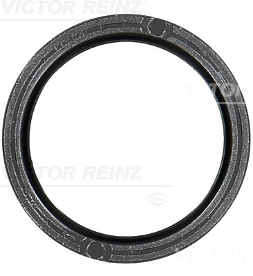 VICTOR REINZ Pakdåse, knastaksel 811048100 for VOLVO