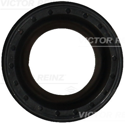 VICTOR REINZ Pakdåse, knastaksel 811059400 for FORD VAG