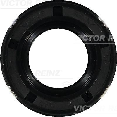 VICTOR REINZ 812055310 47mm