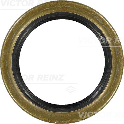 VICTOR REINZ Pakdåse, krumtapaksel 812108710 for LADA