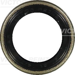 VICTOR REINZ 812401000 21mm for BMW