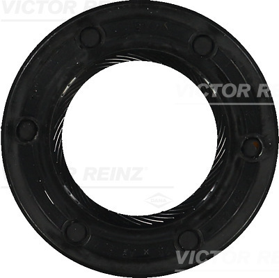 VICTOR REINZ 812405600 47mm for BMW