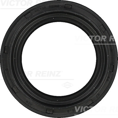VICTOR REINZ 813350100 67mm