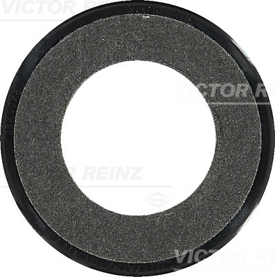 VICTOR REINZ Pakdåse, knastaksel 813523900 for RENAULT TRUCKS