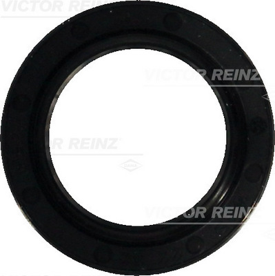 VICTOR REINZ 813529800 32mm for VOLVO