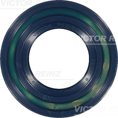 VICTOR REINZ 813529900 47mm for VOLVO