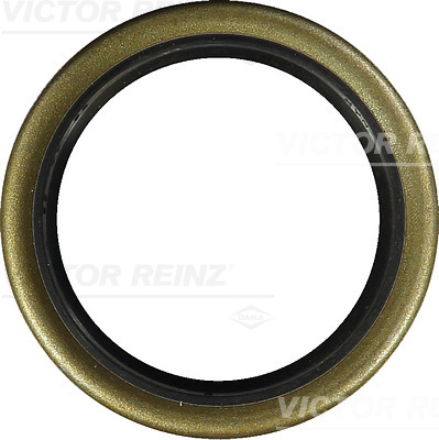 VICTOR REINZ 813530700 58mm for VOLVO