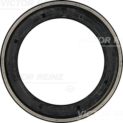 VICTOR REINZ 813699800 100mm for DAF IVECO
