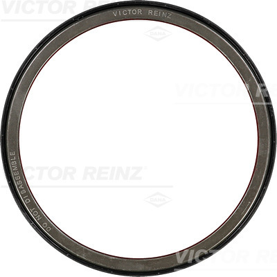 VICTOR REINZ 813717300 191mm for DAF