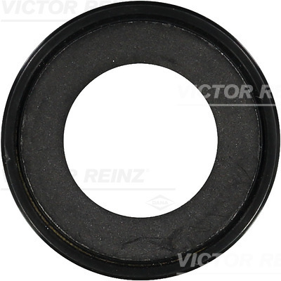 VICTOR REINZ Pakdåse, automatisk gearkasse 813802700 for CITROËN/PEUGEOT FIAT