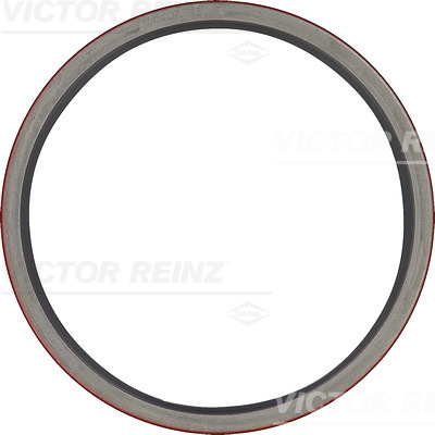 VICTOR REINZ 814064800 171,5mm for DAF