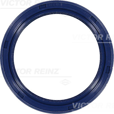 VICTOR REINZ Pakdåse, krumtapaksel 815328400 for NISSAN