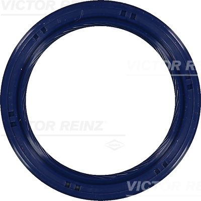 VICTOR REINZ Pakdåse, krumtapaksel 815369900 for OPEL LANCIA SUZUKI NISSAN TOYOTA