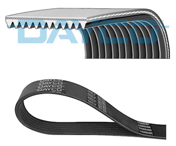 DAYCO 12pk1300hd for MAN