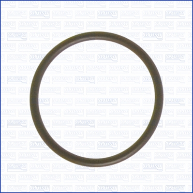 AJUSA Pakning, termostat 16023100 for VOLVO SSANGYONG CITROËN MERCEDES-BENZ VW MINI LAND ROVER