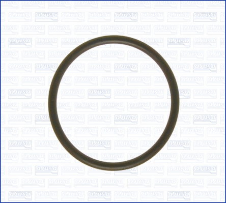 AJUSA Pakning, termostat 16029000 for VOLVO OPEL CHEVROLET CITROËN AUDI RENAULT VW