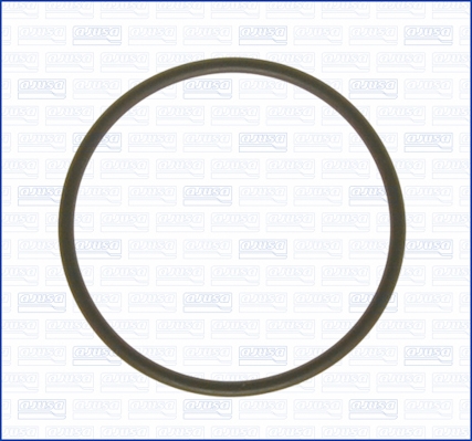 AJUSA Pakning, termostat 16033800 for BMW FIAT AUDI SSANGYONG MERCEDES-BENZ NISSAN RENAULT SUZUKI