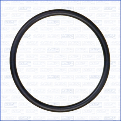 AJUSA Pakning, termostat 16054000 for FORD AUDI CHRYSLER VW