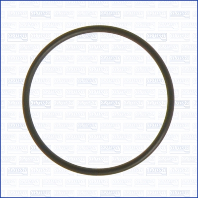 AJUSA Pakning, vandpumpe 16054100 for FORD VOLVO MAZDA