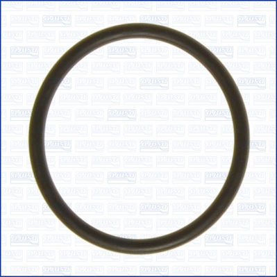 AJUSA Pakning, termostat 16072700 for AUDI SKODA