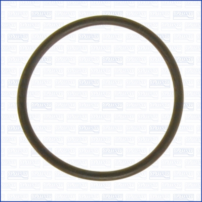 AJUSA Pakning, termostat 16073300 for FORD JEEP BMW MERCEDES-BENZ