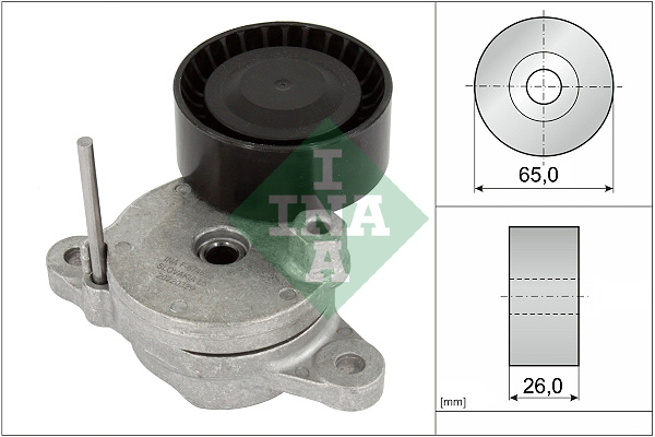 SCHAEFFLER INA Remstrammer, kilerem 534079510 for PEUGEOT