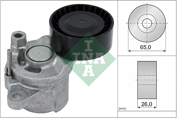 SCHAEFFLER INA Remstrammer, kilerem 534068810 for VAUXHALL DS LEXUS