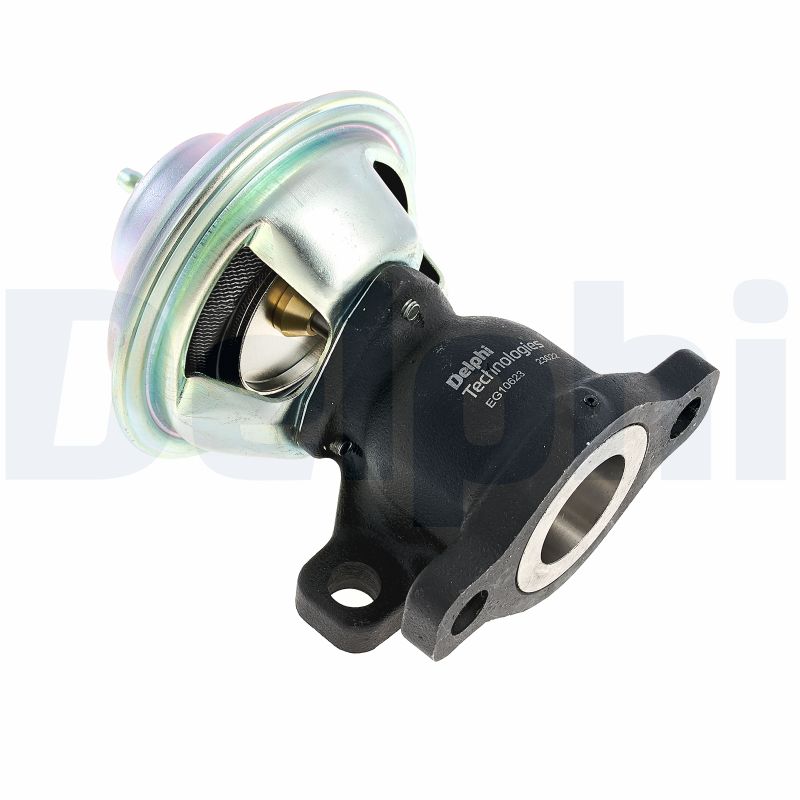 DELPHI EGR-ventil eg1062312b1 for CITROËN FIAT