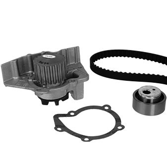 METELLI Vandpumpe + tandremssæt 3003481 for CITROËN PEUGEOT LANCIA FIAT
