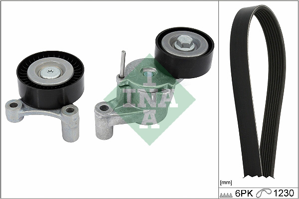 SCHAEFFLER INA Kileremssæt 529054810 for VOLVO POLESTAR